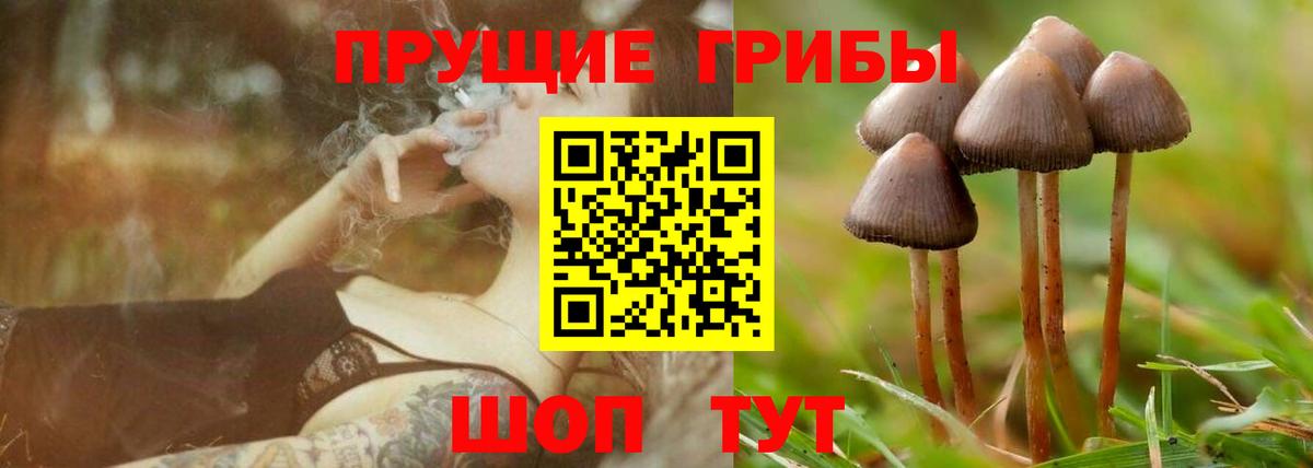 Галлюциногенные грибы Magic Shrooms Тобольск